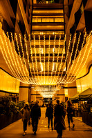 13/11/23 - Bloomberg Arcade Christmas Lights - Dom